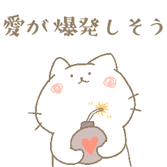 大好き！にゃんこ+α！