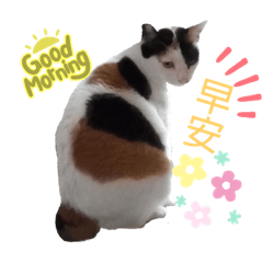 Daniel_20220511011458