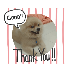 sticker_20220618205324