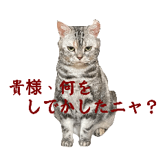 ハナサラ姉妹Ⅰ