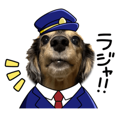 愛犬ダックススタンプズ
