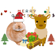 ビスキィのクリスマス&お正月。