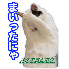 スケキヨとボク No.2