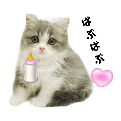 かわいい❤るいぴ❤