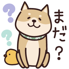 しばいぬ♡家族で使える