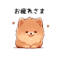 茶色のポメラニアン