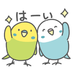 セキセイインコの日常色々