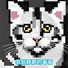 Have you seen cute cats? Let me show you