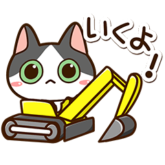 ハチワレぶち【工事】