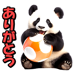 リアル⭐パンダ