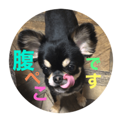 はなが作る《テトスタンプ》