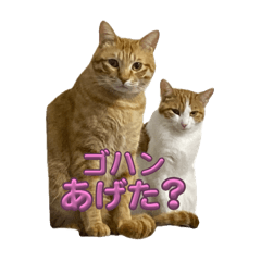 うちのもな&むぎ