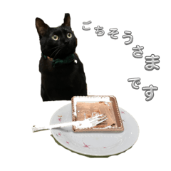 うちのゆるねこ