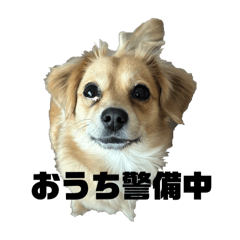 チワックスのむち