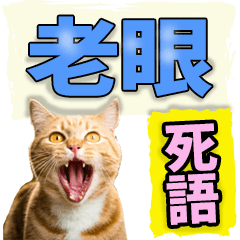 老眼でも見える【死語】デカ文字にゃんこ