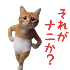 踊る！おパンツ猫