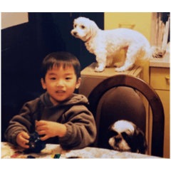 実写！てんとつう（おまけのぎん）