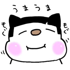 姫カットヘアー猫ちゃん