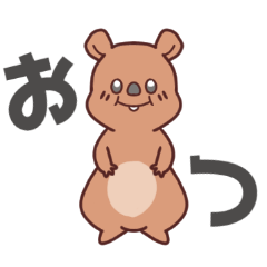 クウォッカわらびー