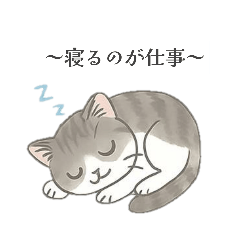 猫のクリ、まったり会話する