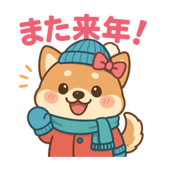 柴犬3姉妹の冬いろいろ