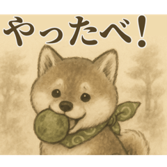 豆柴、田舎暮らし。