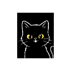 BlackCatInBlack_20251206164217