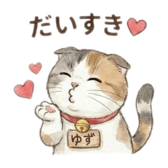 三毛猫スコのゆず