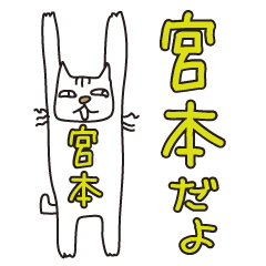 ばんざい猫 宮本用