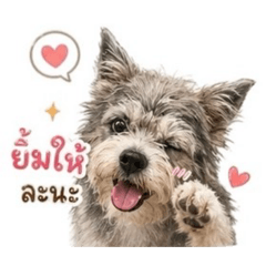 Copter_20260430174807