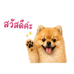 jaomhayuja_20260501173345
