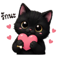 Super cute black cat!
