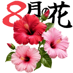 8月 夏の花 大きくてみやすい挨拶スタンプ