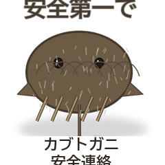 カブトガニ安全連絡