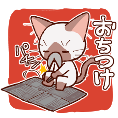 かまってシャムちゃん頑固じじいになる