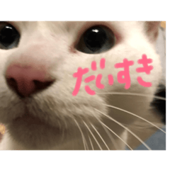 使えるボンちゃん①