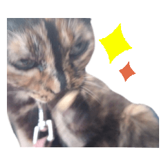 サビ猫のみーこスタンプその3