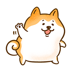 秋田犬 もちぞう