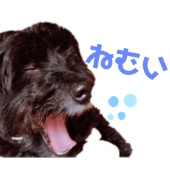 つぶすけスタンプ