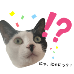 りんちゃんとすずちゃん