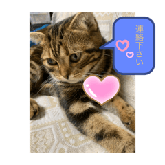 お使い下さいませ2