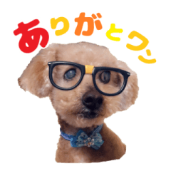 くうちゃんだぞ～New