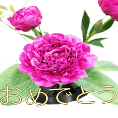 おめでとう&ありがとうをお花とともに