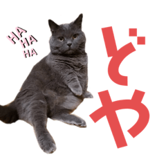 ❤️まゆまゆスタンプ❤️