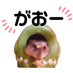 べーこんの日常