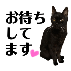 我が家のさぶち