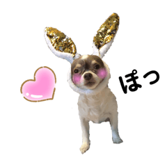 ココアさんのスタンプ