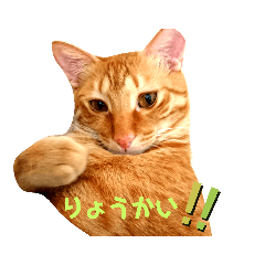 実写＊かげとらくん。スタンプ