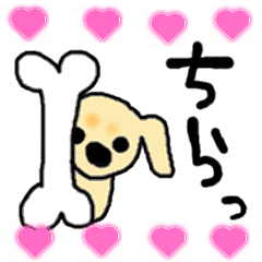 ダックスのキョロちゃん☆３