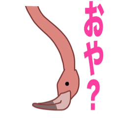 フラミンゴと仲間たち